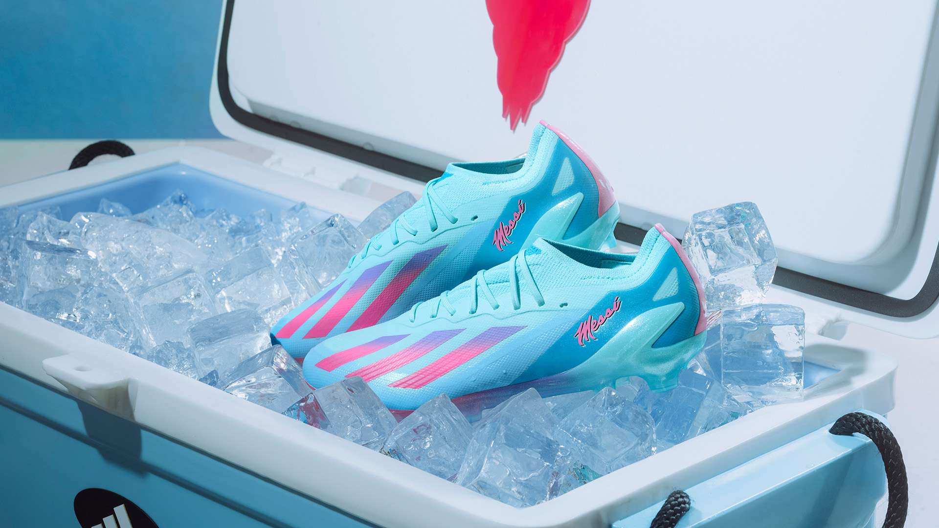 了球门安全 了球门安全